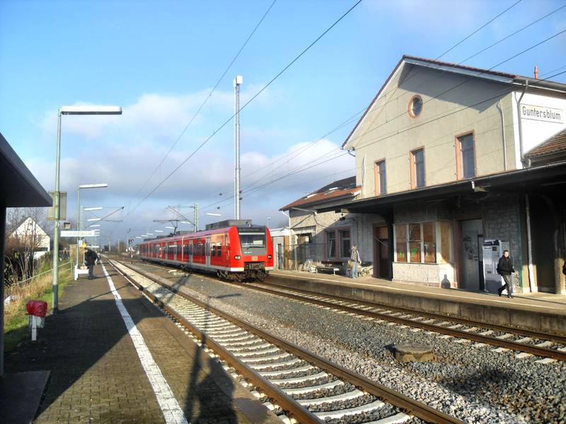 RB 44 der Baureihe 425 im Guntersblumer Bahnhof.