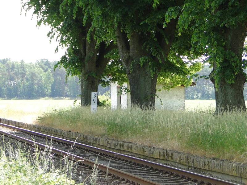 Zieslübbe Haltepunkt Bahnstrecke Schwerin-Parchim 2014-06-10 15.JPG