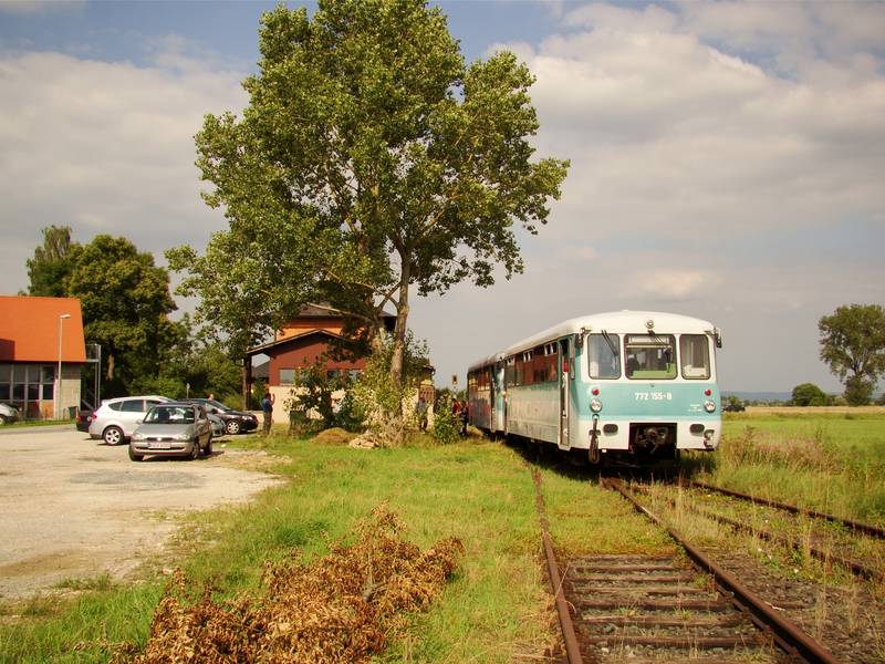 D BY Steppach Pommersfelden 171155.jpg
