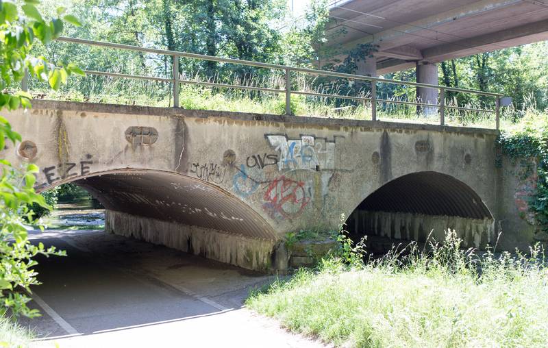 Eisenbahbrücke Hattersheim am Main-2285.jpg