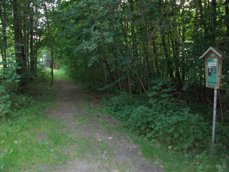 Haltestelle Grießbach (Wilischthal), ehemaliger Standort (2017)