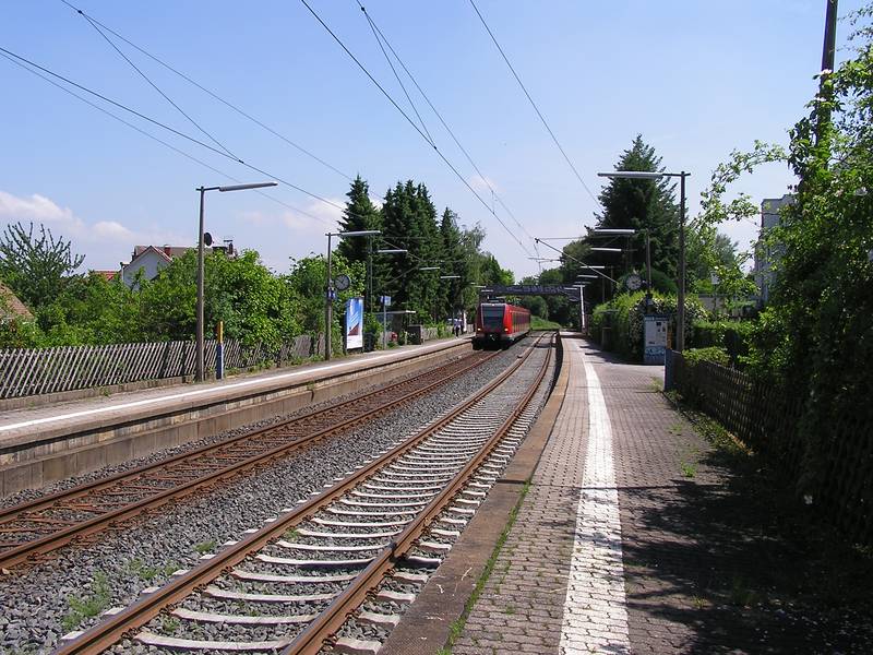 Seulberg Hp.jpg