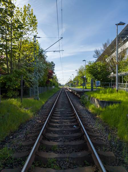 Sued, Kronberg im Taunus (LRM 20230506 082229).jpg