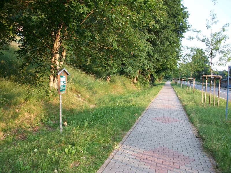 Ehemaliger Haltepunkt Unterherold, Blick in Richtung Thum (2017)