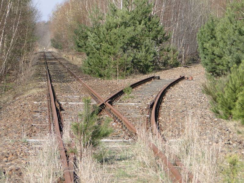 Mirow Bahnstrecke Wittenberge–Strasburg mit abgebautem Abzweig nach Rechlin 2010-04-07 078.jpg