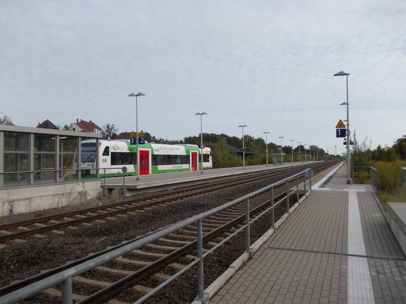 WeidaBf.JPG