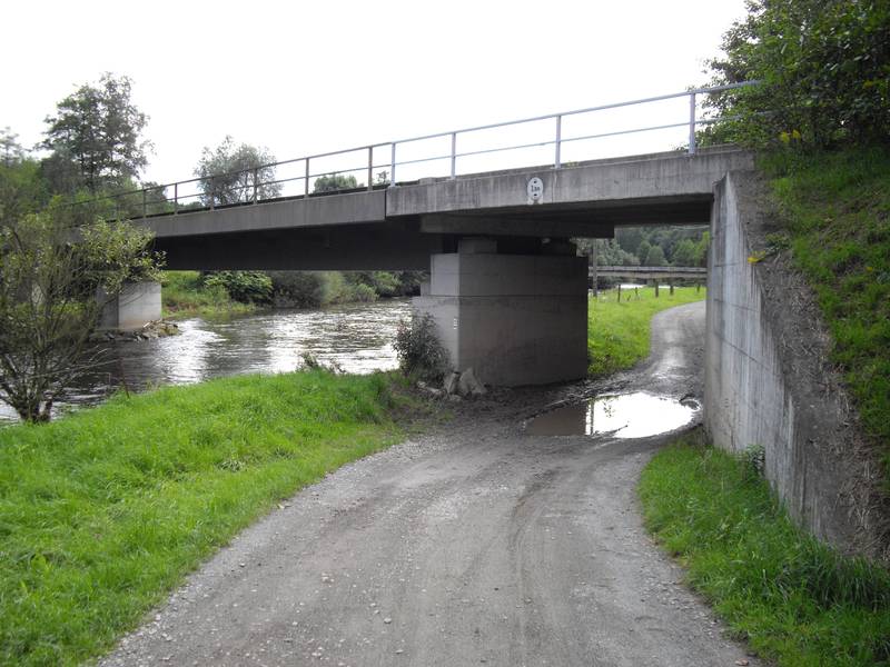 Bahnbrücke Glohdenhammer der Elstertalbahn über die Weiße Elster in Greiz -Nordwestansicht, im Hintergrund die Wegbrücke- Ende August 2010.jpg