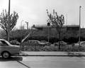 150503, Gezicht op het N.S.-station Leiden Lammenschans te Leiden., Nederlandse Spoorwegen, fotograaf