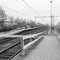 153078, Gezicht op het perron van het N.S.-station Elst te Elst., Nederlandse Spoorwegen, fotograaf