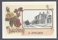 SOUVENIR D' AVELGEM BEPERKTE OPLAGE DIT IS NR. 6 VAN 10 STATION TREIN GARE TRAIN