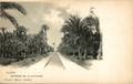 ALICANTE - ELCHE, ENTRADA DE LA ESTACION