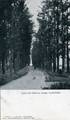 3394 Laan bij het Station (Laag) Oosterbeek, 1905-1910