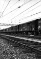 159898, Afbeelding van gesloten goederenwagens op het emplacement bij het N.S.-station Utrecht C.S. te Utrecht., Nederlandse Spoorwegen, fotograaf