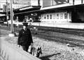 153302, Afbeelding van een spoorwegpolitiebeambte met een hond bij het N.S.-station Utrecht C.S. te Utrecht., Nederlandse Spoorwegen, fotograaf
