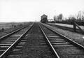 154845, Gezicht op het emplacement van het N.S.-station Grijpskerk te Grijpskerk met op de achtergrond het stationsgebouw., Nederlandse Spoorwegen, fotograaf