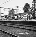 824743, Afbeelding van de zomerdrukte met reizigers op het perron van het N.S.-station Valkenburg, na aankomst van de Valkenburg Expres., Nederlandse Spoorwegen, fotograaf