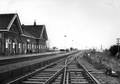 150145, Gezicht op het stationsgebouw en spoorwegemplacement van het  N.S.-station Bedum te Bedum., Nederlandse Spoorwegen, fotograaf