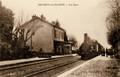 BRAZEY en PLAINE (Côte-d'Or) - La gare et le train - Editeur : Colnet.