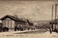 31 - RIVE-de-GIER(Loire) - Gare de Couzon.