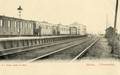 13830, Gezicht op de spoorbanen met een personentrein op  het station te Nieuwersluis (gemeente Loenen aan de Vecht) uit het noorden.