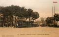 15 - MELUN (S. et M.) - Place de la Gare - Tramway de Barbizon.