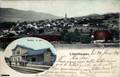 LUTZELHAUSEN ( Bas-Rhin, aujourd'hui Lutzelhouse) - La gare et vue générale.