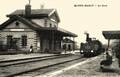MAREIL-MARLY (Seine et Oise) - Vue intérieure de la gare - Arrivée d'un train.