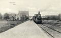 11898, Gezicht op het station van de H.IJ.S.M. (Hollandsche IJzeren Spoorweg-Maatschappij) te Rhenen, met een trein richting Nijmegen getrokken door de stoomlocomotief nr. 131 "Poot" van de H.S.M.