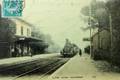 LE VAR (Alpes-Maritimes) - La gare et le train.