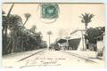 Espagne - n°65042 - ALICANTE - ELCHE - La Estacion - Un Train