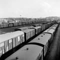155153, Gezicht op het emplacement met goederentreinen bij het N.S-station Venlo te Venlo., Nederlandse Spoorwegen, fotograaf