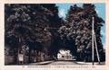 51 - POUGUES-les-EAUX (Nièvre) - L'Allée des Marronniers et la Gare.