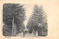 Bovigny - Avenue de la Station Noie du Moulin - 1905